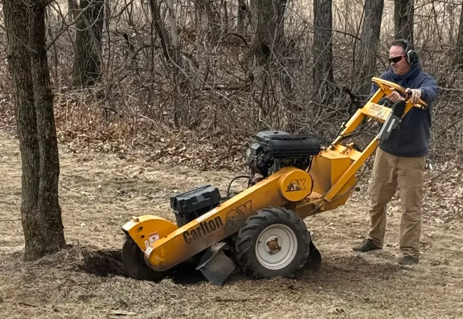 Dangerous Tree Removal Near Structures